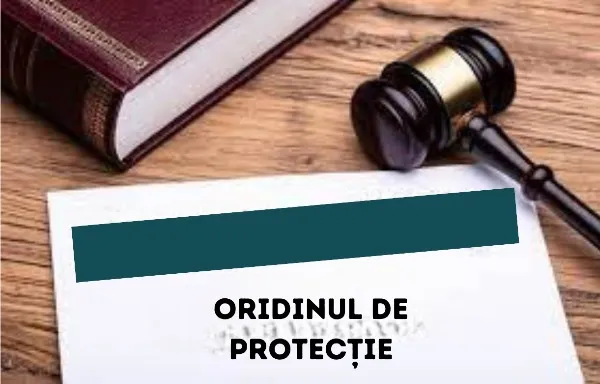 Imagine de copertă pentru articolul „Ordinul de protecție – un scut împotriva violenței domestice”